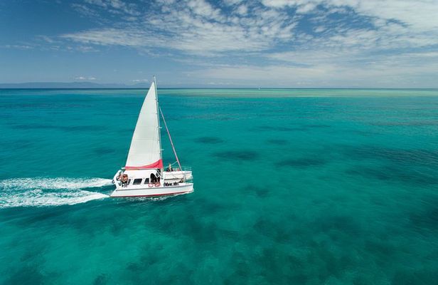 Full-Day Great Barrier Reef Sailing Trip from Cairns