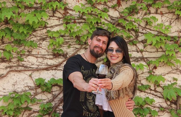 Concha y Toro Vineyard Traditional Tour