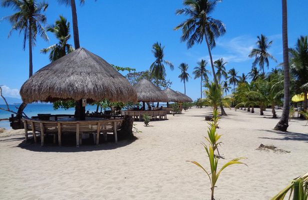 Private Puerto Princesa island tour: Shore excursion