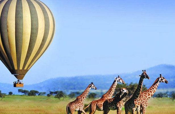 3-days Serengeti Balloon flight experience
