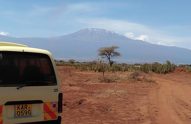 Amboseli Park & Kilimanjaro views Day tour
