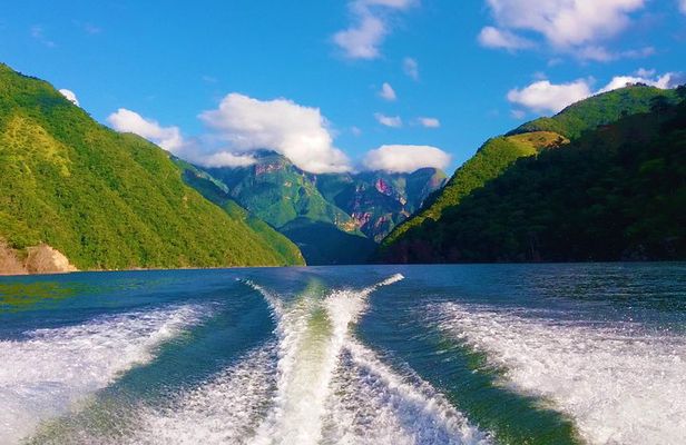 Private Tour - Boat Ride Topocoro Lake (Nature)
