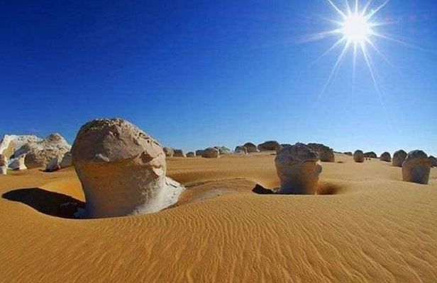 White Desert and Bahariya Oasis Tour From Cairo