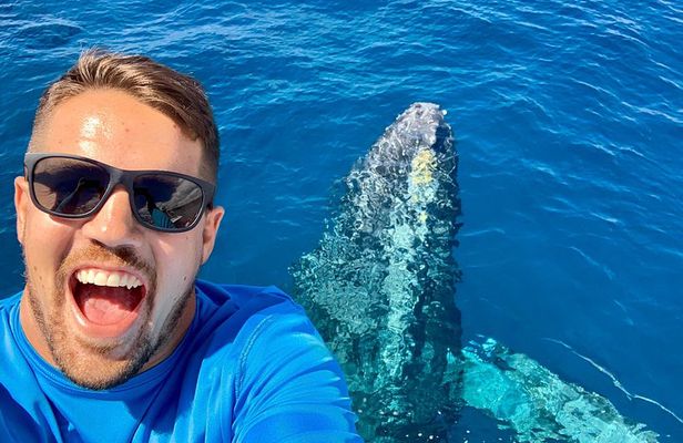 From Maalaea: Whale Watching Tour Aboard the Quicksilver