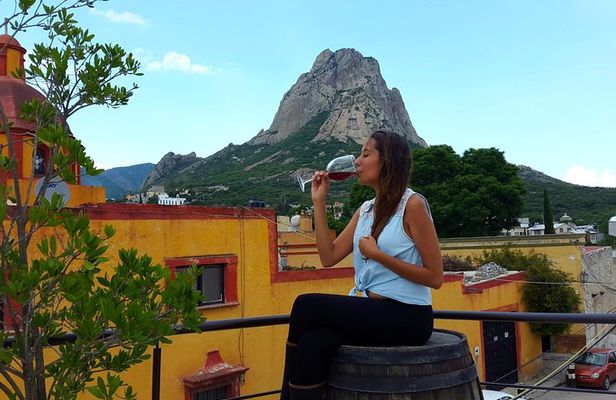 Cheese and Wine Route with 2 Towns, starting from Querétaro