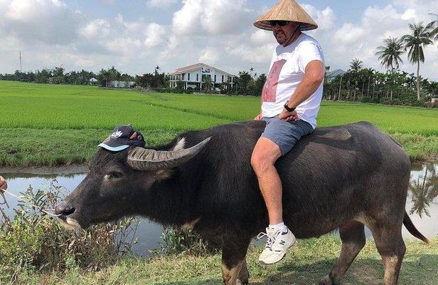 Hoi An Countryside - Buffalo Riding - Basket Boat Rowing
