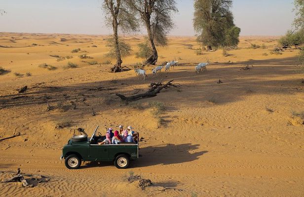 Overnight Desert Safari - Vintage Land Rovers & Traditional Activities