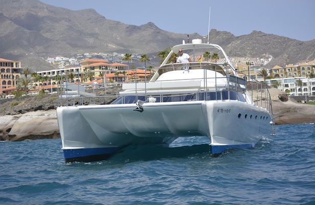 Whale Watching Catamaran Cruise with Transfer, Buffet by MC