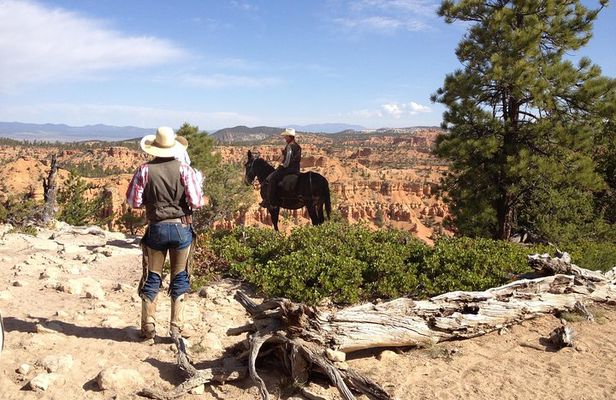 Horseback Riding Experience through Red Canyon with a Guide