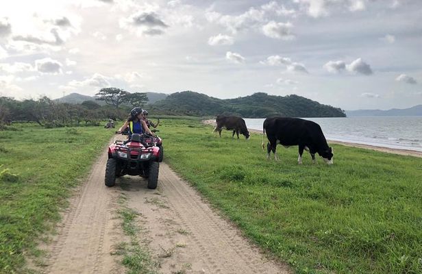 ATV Beach Tour