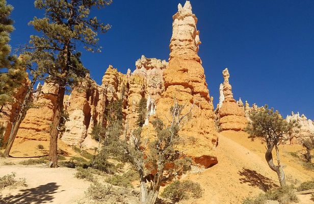 Small Group Bryce Canyon & Zion National Park Tour from Las Vegas
