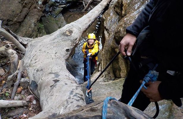 Juggler Canyon and Abseiling Adventure Blue Mountains