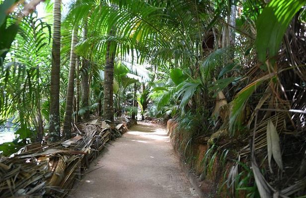 Palms and Pearls Full Day Tour
