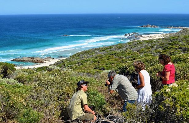 Margaret River Coastal and Wildlife Eco Trip from Busselton or Dunsborough