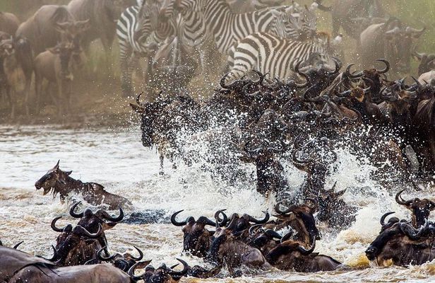 11-Days Best of Kenya & Tanzania Big 5 Safari on a 4x4 Jeep
