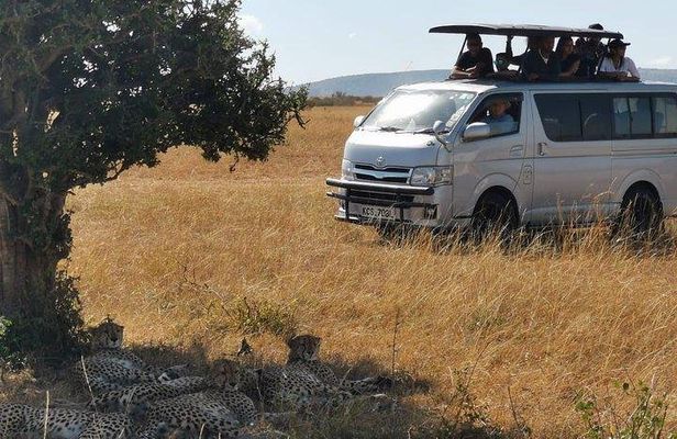 7 days safari to Amboseli, Naivasha, Lake Nakuru and Masai Mara National parks