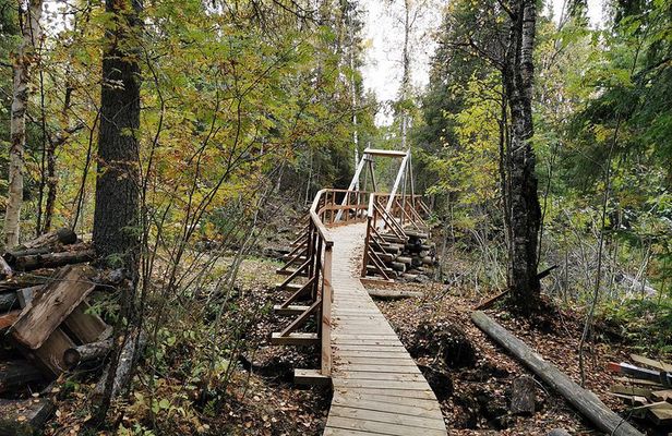 Rovaniemi: Vaattunkiköngäs Nature Trail Hiking Tour