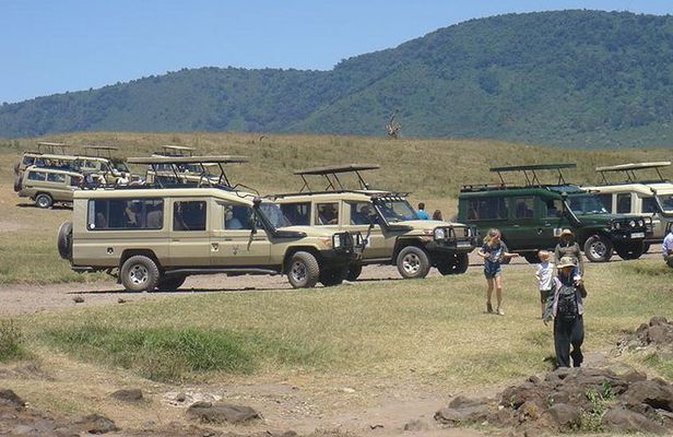 3-Day Taste of Tanzania Safari (Tarangire National park and Ngorongoro Crater)