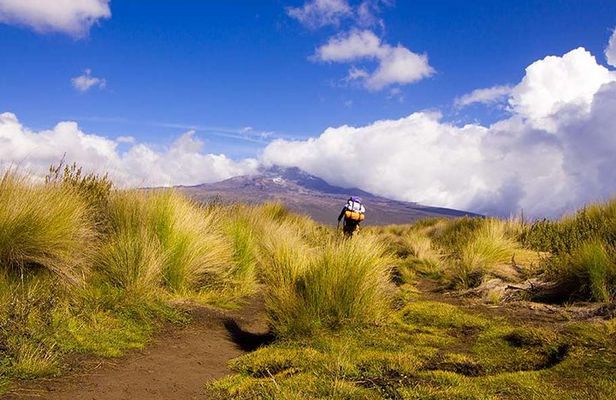 4 Days Trekking in Mount Kenya