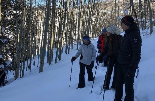 Private Park City Snowshoe Excursions (9:30am/12:30pm start time)