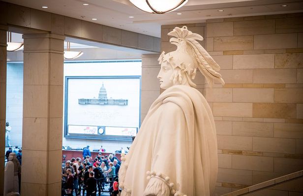 Capitol Hill: Capitol & Library of Congress Small-Group Tour