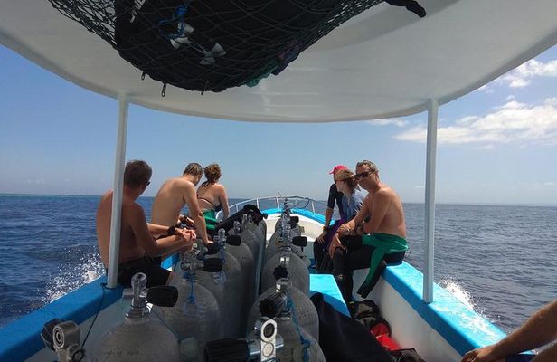 Menjangan island snorkeling full day boat trip 