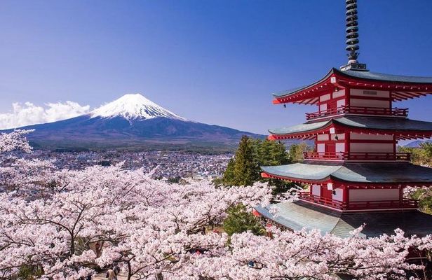 Mt. Fuji View and 2hours+ free time at Gotemba Premium Outlets