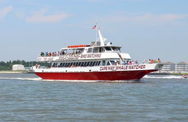 Dinner Cruise with Dolphin and Whale Watching from Cape May