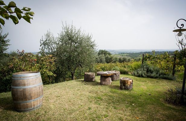 Wine Tour Experience at Agricola Tamburini