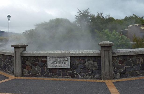 6.5 hour Small-Group Rotorua Naturally Shore Excursion - Tauranga