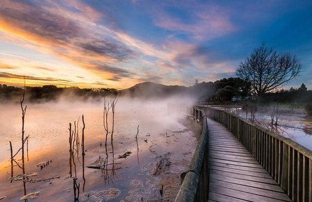 6.5 hour Small-Group Rotorua Naturally Shore Excursion - Tauranga