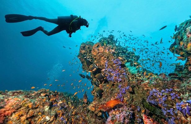 Diving in Hurghada