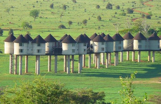 3 days safari Tsavo East and Taita hills (Saltlick lodge)