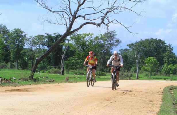 Cycle through 2000 years of sacred history and culture – Anuradhapura