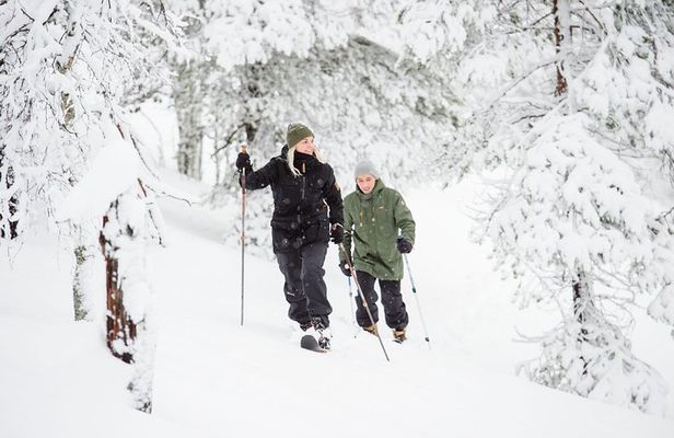 Classic Wilderness Skiing in the Pyhä-Luosto National Park