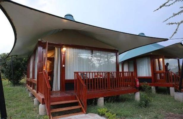 3 Days Maasai Mara Private Safari at AA Lodge from Nairobi