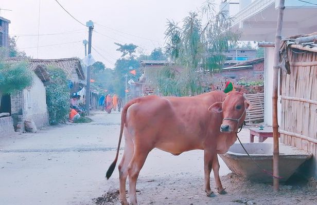 Village Tour in Varanasi