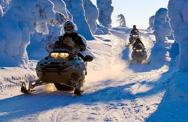 Lapland Snowmobile Safari from Levi
