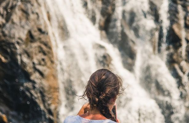 Dudhsagar waterfall wildlife & spice plantation Tour in Goa