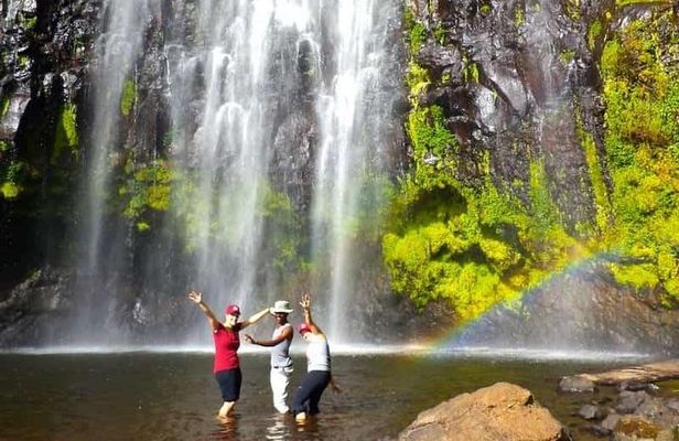 1 Day Tour to Materuni Waterfalls and Coffee Tour