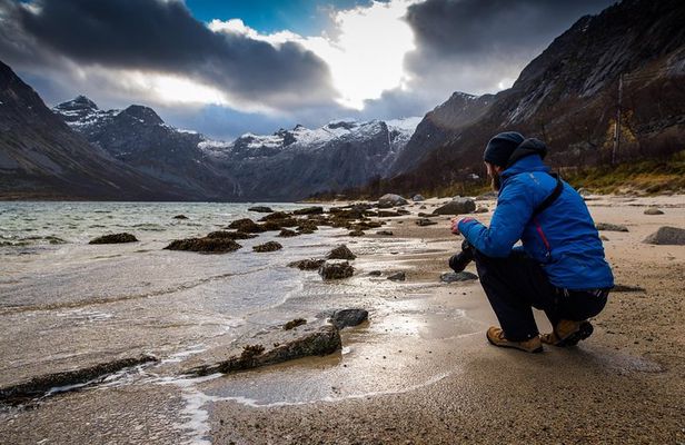 Arctic Nature Tour from Tromsø by minibus