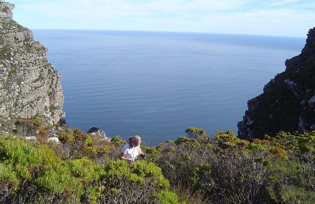 Privately guided Table Mountain hike