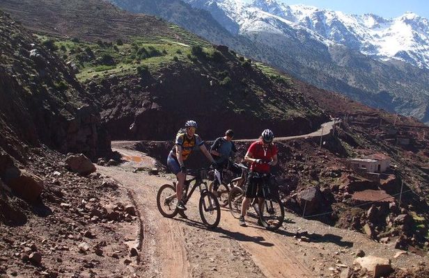 Mountain Biking Day Trip in the Atlas Mountain