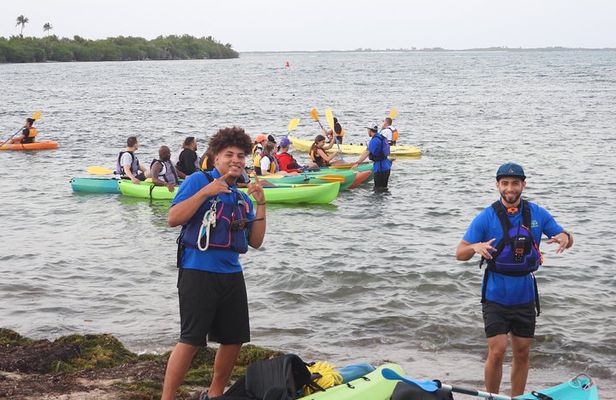 Bioluminescent Bay Night Kayaking, Fajardo