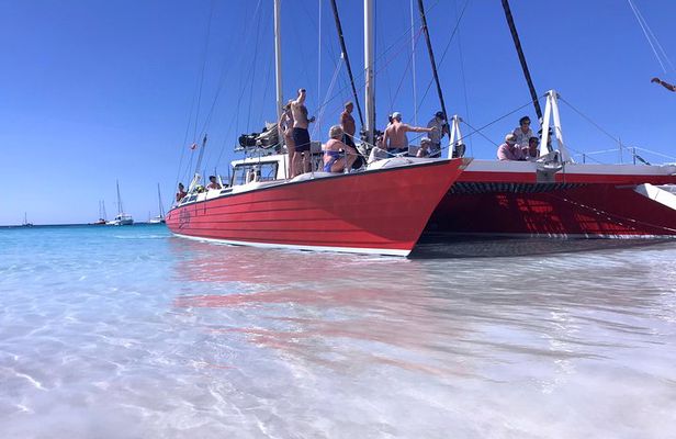 Barbados Catamaran Turtle and Shipwreck Snorkeling Cruise