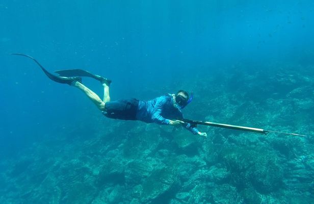 Discover Spearfishing course
