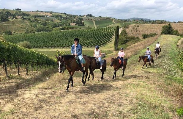 Horseback Ride in S.Gimignano with Tuscan Lunch Chianti Tasting