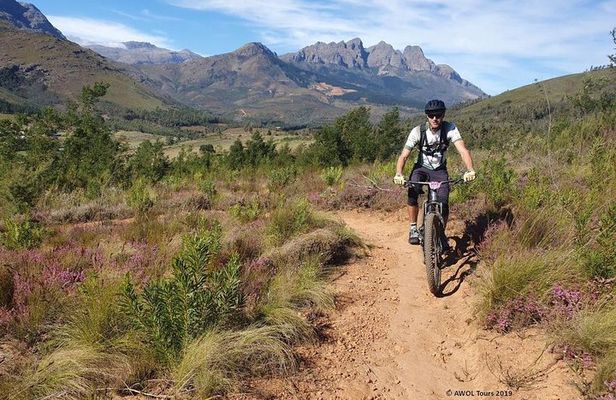 Private Mountain Biking Tour from Cape Town