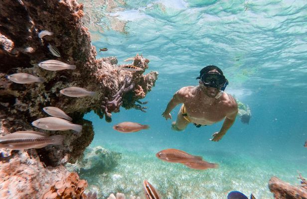 Marinarium Snorkeling Cruise from Punta Cana