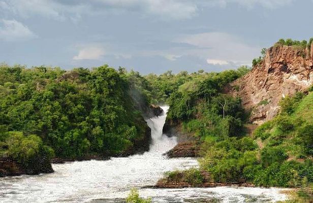 2 Days Murchison Falls Big 5 Savannah wildlife safari